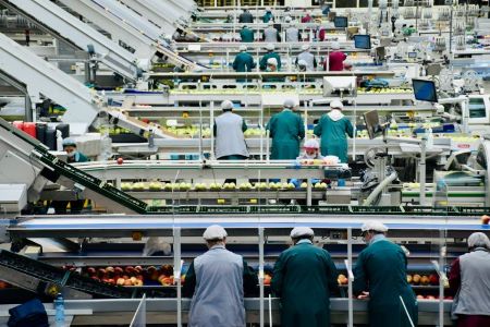 Food Manufacturers Are Holding More Buffer Stock Ahead of Harvest Volatility