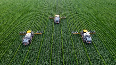 Midlands Farms and Market Gardens Turn to Manual Handling Equipment as Harvest Season Peaks
