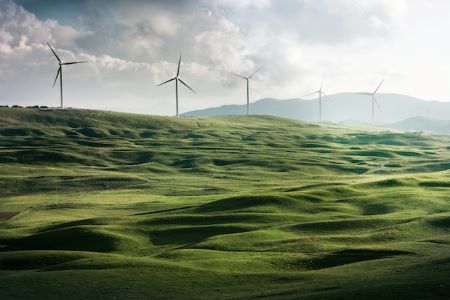 UK government's initiative in establishing the Net Zero Council