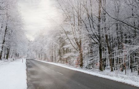 Cold-Weather Solutions for Supply Chain